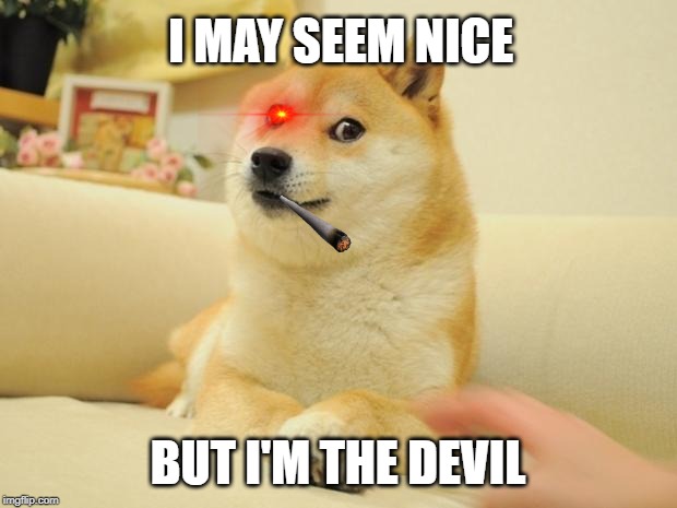 Doge 2 Meme | I MAY SEEM NICE; BUT I'M THE DEVIL | image tagged in memes,doge 2 | made w/ Imgflip meme maker