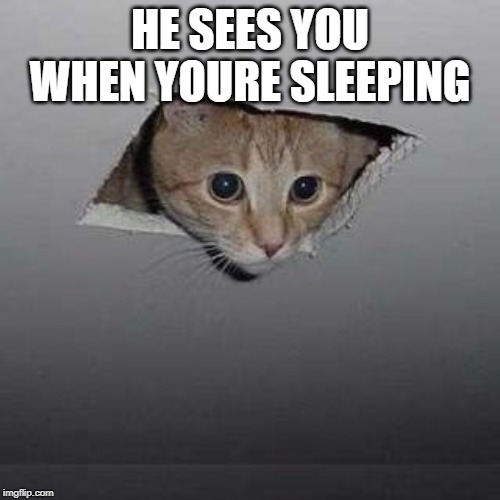 Ceiling Cat | HE SEES YOU WHEN YOURE SLEEPING | image tagged in memes,ceiling cat | made w/ Imgflip meme maker