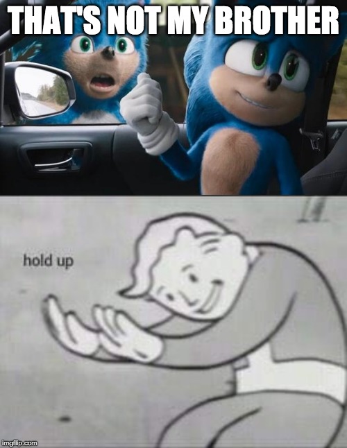 THAT'S NOT MY BROTHER | image tagged in fallout hold up,sonic movie old vs new | made w/ Imgflip meme maker