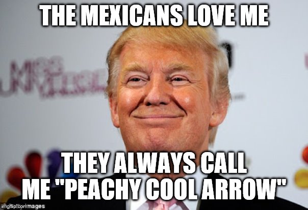 Donald trump approves | THE MEXICANS LOVE ME; THEY ALWAYS CALL ME "PEACHY COOL ARROW" | image tagged in donald trump approves | made w/ Imgflip meme maker