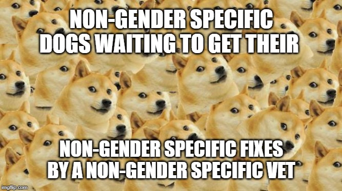 Multi Doge | NON-GENDER SPECIFIC DOGS WAITING TO GET THEIR; NON-GENDER SPECIFIC FIXES BY A NON-GENDER SPECIFIC VET | image tagged in memes,dogs,gender identity,confused,fun | made w/ Imgflip meme maker