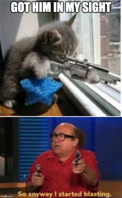 GOT HIM IN MY SIGHT | image tagged in cats with guns,so anyway i started blasting | made w/ Imgflip meme maker