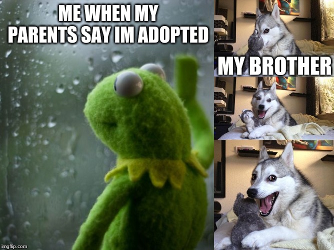 ME WHEN MY PARENTS SAY IM ADOPTED; MY BROTHER | image tagged in bad joke dog,kermit window | made w/ Imgflip meme maker