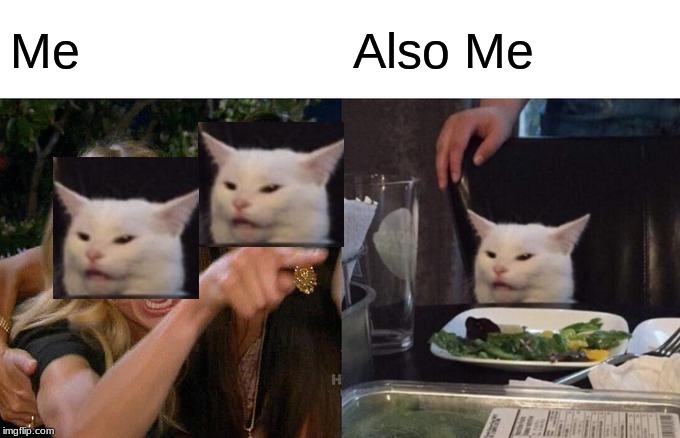 Woman Yelling At Cat | Me; Also Me | image tagged in memes,woman yelling at cat | made w/ Imgflip meme maker