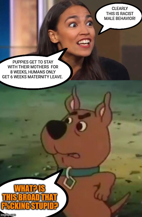 AOC makes a run at f%cking up women's healthcare issues...go figure | CLEARLY THIS IS RACIST MALE BEHAVIOR! PUPPIES GET TO STAY WITH THEIR MOTHERS  FOR 8 WEEKS, HUMANS ONLY GET 6 WEEKS MATERNITY LEAVE. WHAT? IS THIS BROAD THAT F%CKING STUPID? | image tagged in crazy aoc,scooby doo,scrappy doo,womens rights,pregnancy,stupid liberals | made w/ Imgflip meme maker