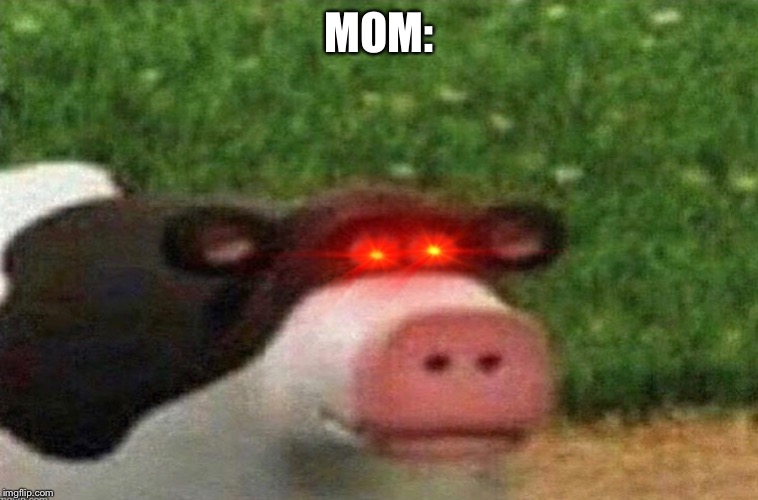 MOM: | made w/ Imgflip meme maker