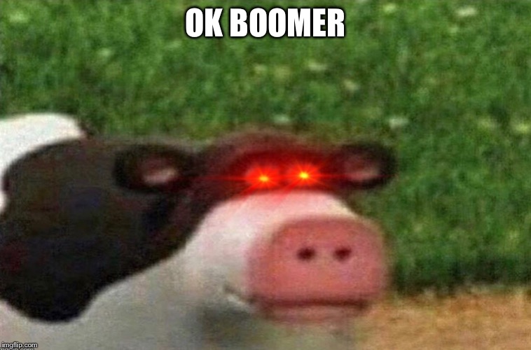 OK BOOMER | made w/ Imgflip meme maker