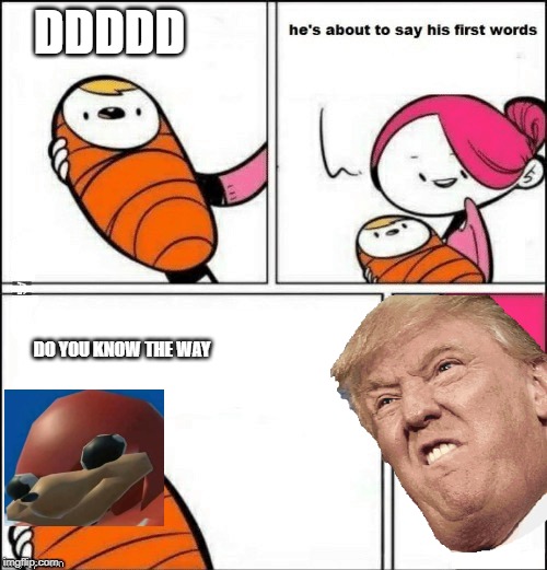 baby first words | DDDDD; DO YOU KNOW THE WAY | image tagged in baby first words | made w/ Imgflip meme maker