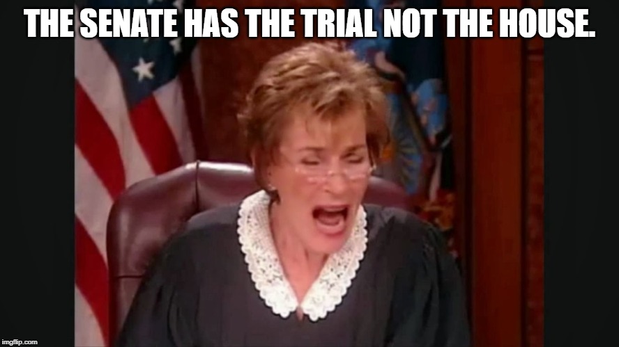 Facebook court | THE SENATE HAS THE TRIAL NOT THE HOUSE. | image tagged in facebook court | made w/ Imgflip meme maker