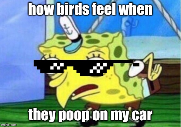 Mocking Spongebob Meme | how birds feel when; they poop on my car | image tagged in memes,mocking spongebob | made w/ Imgflip meme maker