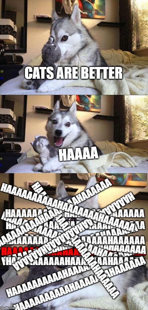 Bad Pun Dog | CATS ARE BETTER; HAAAA; HAAAAAAAAAAHAAAAAAAHAAAAAA; HAAAAAAAAAAHAAAAAAAHAAAAAA; HAAAAAAAAAAHAAAAAAAHAAAAAA; HAAAAAAAAAAHAAAAAAAHAAAAAA; HAAAAAAAAAAHAAAAAAAHAAAAAA; HAAAAAAAAAAHAAAAAAAHAAAAAA; HAAAAAAAAAAHAAAAAAAHAAAAAA; HAAAAAAAAAAHAAAAAAAHAAAAAA; HAAAAAAAAAAHAAAAAAAHAAAAAA; HAAAAAAAAAAHAAAAAAAHAAAAAA; HAAAAAAAAAAHAAAAAAAHAAAAAA; HAAAAAAAAAAHAAAAAAAHAAAAAA; HAAAAAAAAAAHAAAAAAAHAAAAAA; HAAAAAAAAAAHAAAAAAAHAAAAAA | image tagged in memes,bad pun dog | made w/ Imgflip meme maker