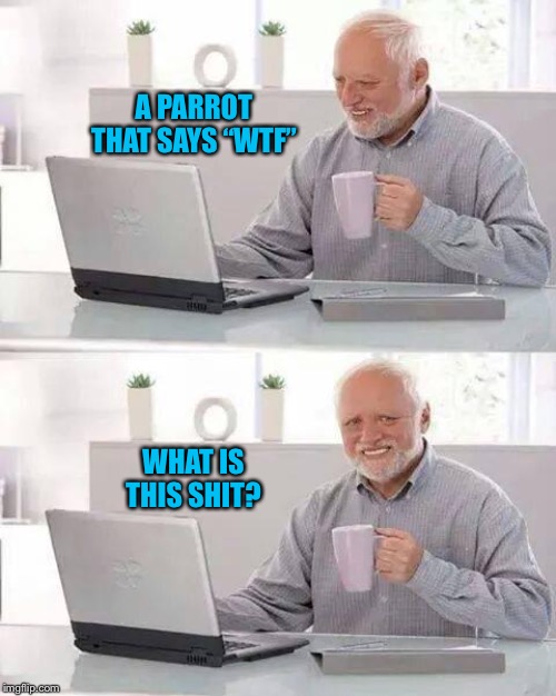 Hide the Pain Harold | A PARROT THAT SAYS “WTF”; WHAT IS THIS SHIT? | image tagged in memes,hide the pain harold | made w/ Imgflip meme maker