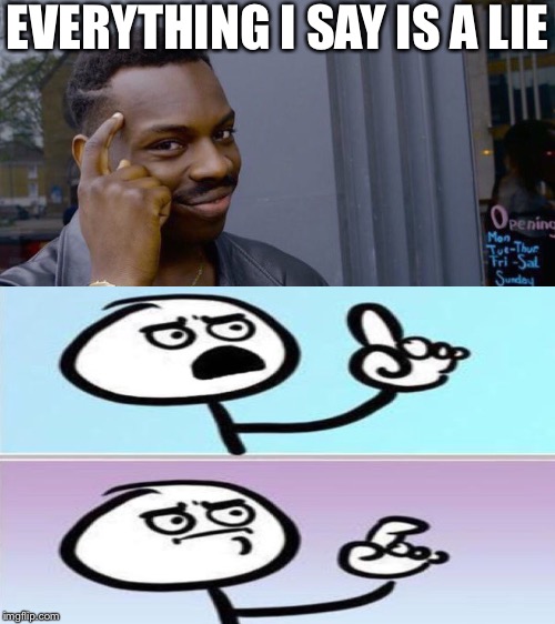 EVERYTHING I SAY IS A LIE | image tagged in memes,roll safe think about it | made w/ Imgflip meme maker