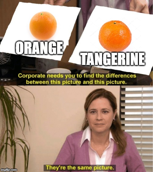 They're The Same Picture | TANGERINE; ORANGE | image tagged in office same picture | made w/ Imgflip meme maker