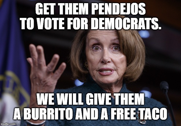 Good old Nancy Pelosi | GET THEM PENDEJOS TO VOTE FOR DEMOCRATS. WE WILL GIVE THEM A BURRITO AND A FREE TACO | image tagged in good old nancy pelosi | made w/ Imgflip meme maker