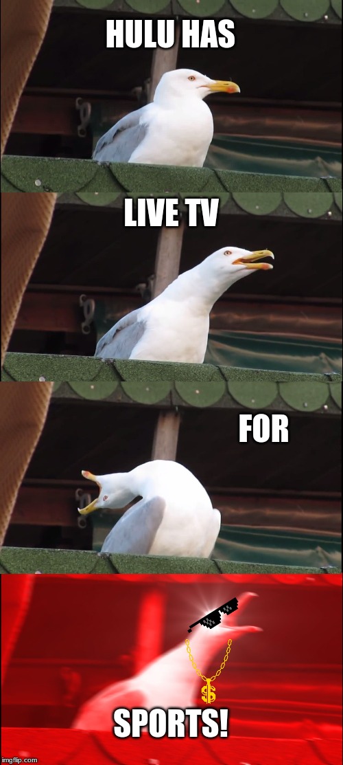 Hulu has live TV for sports meme | HULU HAS; LIVE TV; FOR; SPORTS! | image tagged in memes,inhaling seagull | made w/ Imgflip meme maker