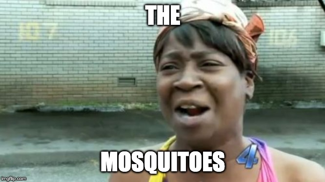 Ain't Nobody Got Time For That | THE; MOSQUITOES | image tagged in memes,aint nobody got time for that | made w/ Imgflip meme maker