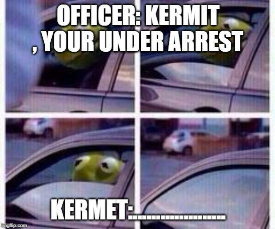 Kermit rolls up window | OFFICER: KERMIT , YOUR UNDER ARREST; KERMET:.................... | image tagged in kermit rolls up window | made w/ Imgflip meme maker