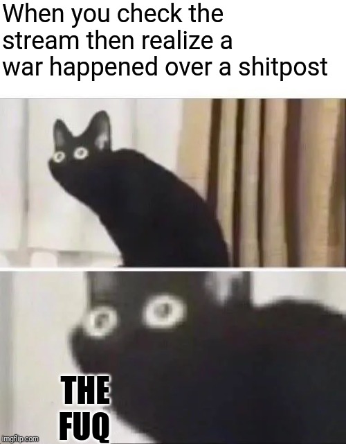 Oh No Black Cat | When you check the stream then realize a war happened over a shitpost; THE FUQ | image tagged in oh no black cat | made w/ Imgflip meme maker