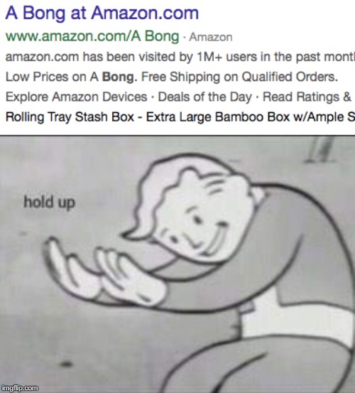 image tagged in fallout hold up | made w/ Imgflip meme maker