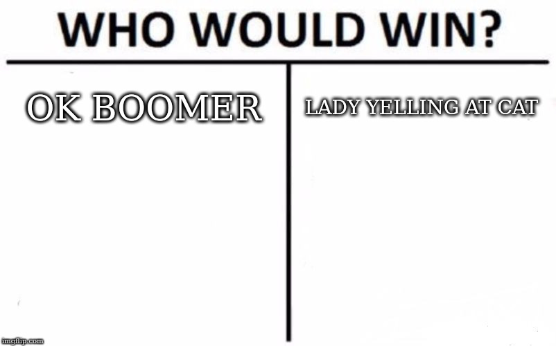 Who Would Win? | OK BOOMER; LADY YELLING AT CAT | image tagged in memes,who would win | made w/ Imgflip meme maker