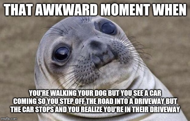 Awkward Moment Sealion | THAT AWKWARD MOMENT WHEN; YOU'RE WALKING YOUR DOG BUT YOU SEE A CAR COMING SO YOU STEP OFF THE ROAD INTO A DRIVEWAY BUT THE CAR STOPS AND YOU REALIZE YOU'RE IN THEIR DRIVEWAY | image tagged in memes,awkward moment sealion | made w/ Imgflip meme maker