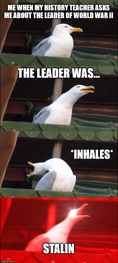 Inhaling Seagull | ME WHEN MY HISTORY TEACHER ASKS ME ABOUT THE LEADER OF WORLD WAR II; THE LEADER WAS... *INHALES*; STALIN | image tagged in memes,inhaling seagull | made w/ Imgflip meme maker