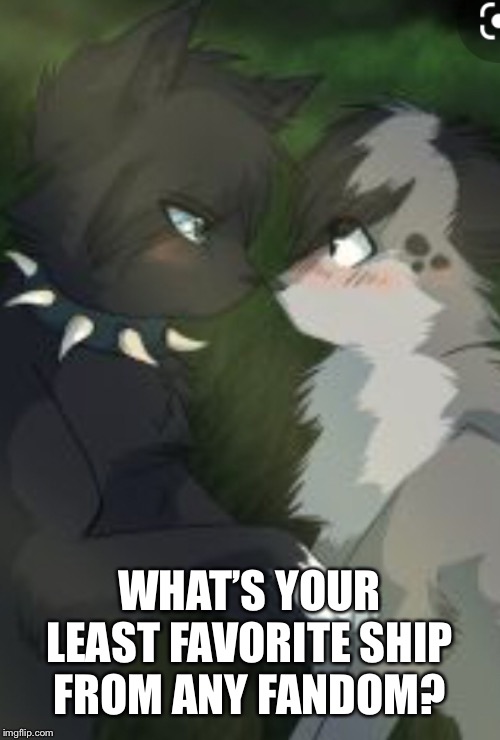 Mine is Ashfur x Scourge from Warrior Cats | WHAT’S YOUR LEAST FAVORITE SHIP FROM ANY FANDOM? | image tagged in oc,ship,ashfur x scourge,gross | made w/ Imgflip meme maker