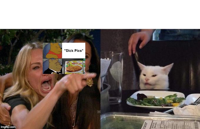 Woman Yelling At Cat Meme | image tagged in memes,woman yelling at cat | made w/ Imgflip meme maker