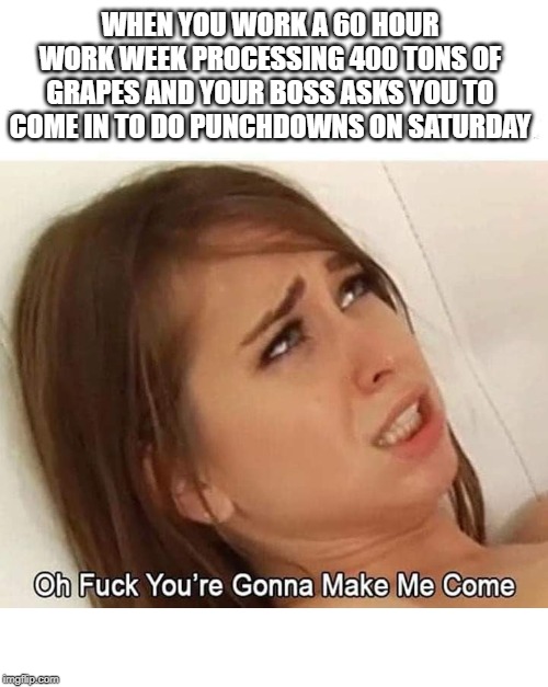 Porn Meme | WHEN YOU WORK A 60 HOUR WORK WEEK PROCESSING 400 TONS OF GRAPES AND YOUR BOSS ASKS YOU TO COME IN TO DO PUNCHDOWNS ON SATURDAY | image tagged in porn meme | made w/ Imgflip meme maker
