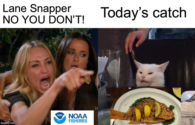 Woman Yelling At Cat Meme | Today’s catch; Lane Snapper NO YOU DON’T! | image tagged in memes,woman yelling at cat | made w/ Imgflip meme maker