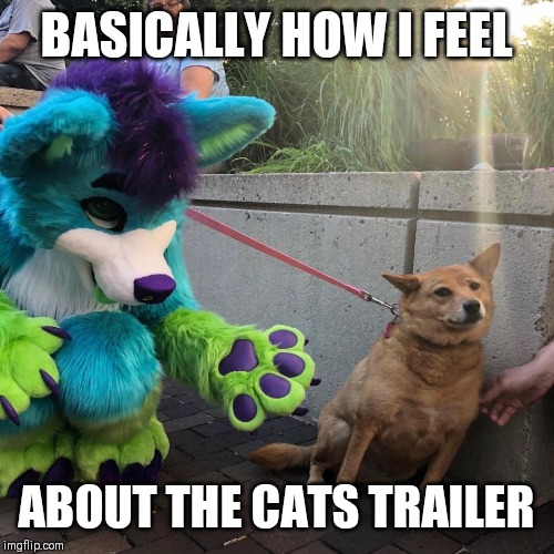 Dog afraid of furry |  BASICALLY HOW I FEEL; ABOUT THE CATS TRAILER | image tagged in dog afraid of furry | made w/ Imgflip meme maker