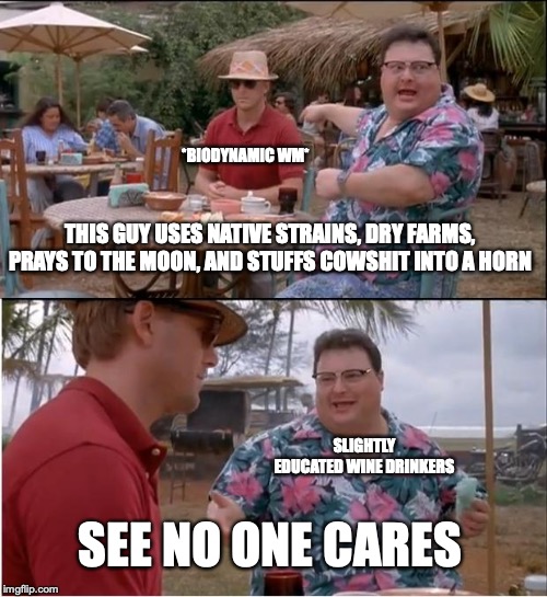 See Nobody Cares | *BIODYNAMIC WM*; THIS GUY USES NATIVE STRAINS, DRY FARMS, PRAYS TO THE MOON, AND STUFFS COWSHIT INTO A HORN; SLIGHTLY EDUCATED WINE DRINKERS; SEE NO ONE CARES | image tagged in memes,see nobody cares | made w/ Imgflip meme maker