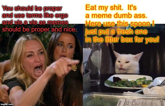 Woman Yelling At Cat Meme | You should be proper and use terms like ergo and vis a vie as memes should be proper and nice. Eat my shit.  It's a meme dumb ass.  Here use | image tagged in memes,woman yelling at cat | made w/ Imgflip meme maker