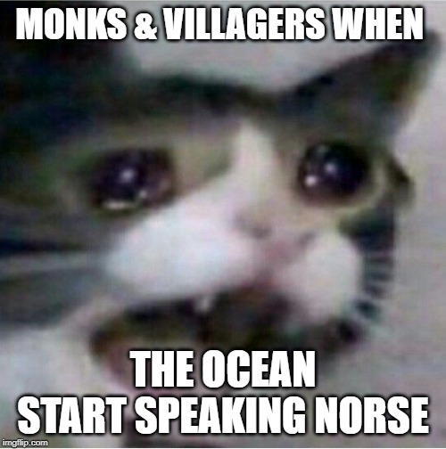 crying cat | MONKS & VILLAGERS WHEN; THE OCEAN START SPEAKING NORSE | image tagged in crying cat | made w/ Imgflip meme maker