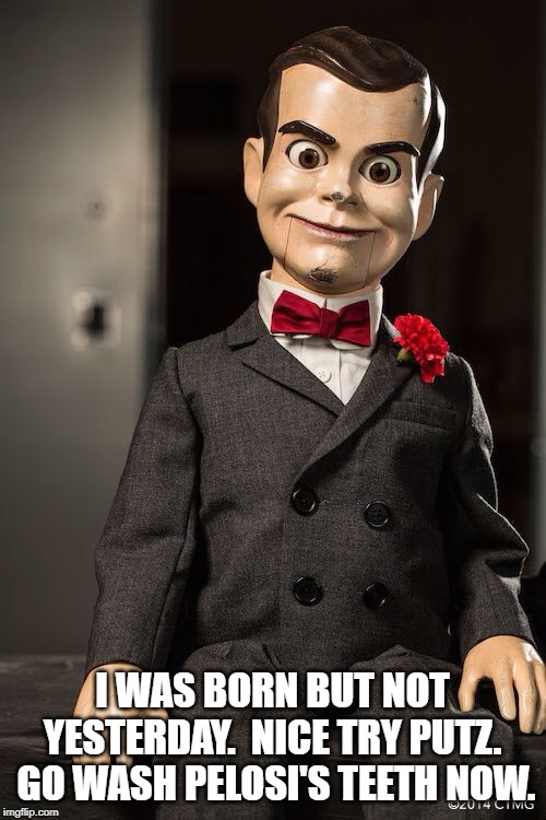 Slappy the dummy | I WAS BORN BUT NOT YESTERDAY.  NICE TRY PUTZ.  GO WASH PELOSI'S TEETH NOW. | image tagged in slappy the dummy | made w/ Imgflip meme maker