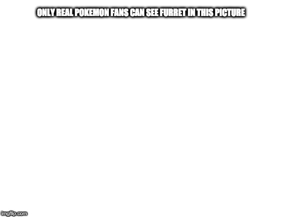 Blank White Template | ONLY REAL POKEMON FANS CAN SEE FURRET IN THIS PICTURE | image tagged in blank white template | made w/ Imgflip meme maker