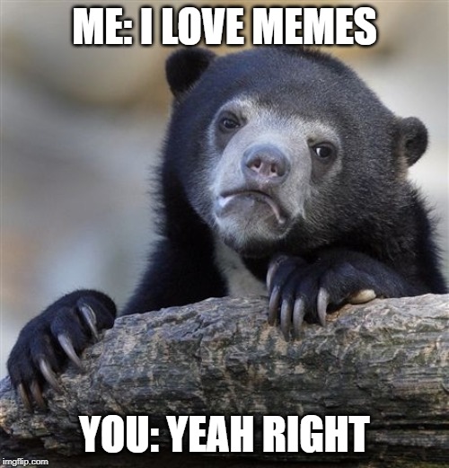 Confession Bear Meme | ME: I LOVE MEMES; YOU: YEAH RIGHT | image tagged in memes,confession bear | made w/ Imgflip meme maker