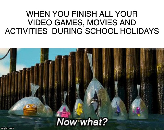 Holidays in a nutshell | WHEN YOU FINISH ALL YOUR VIDEO GAMES, MOVIES AND ACTIVITIES  DURING SCHOOL HOLIDAYS | image tagged in now what,holidays,video games,finding nemo | made w/ Imgflip meme maker