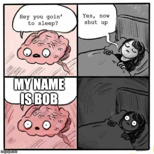 Hey you going to sleep? | MY NAME IS BOB | image tagged in hey you going to sleep | made w/ Imgflip meme maker