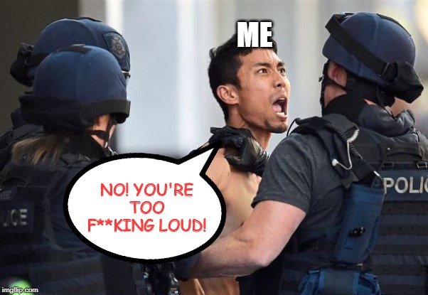 ME NO! YOU'RE TOO F**KING LOUD! | made w/ Imgflip meme maker