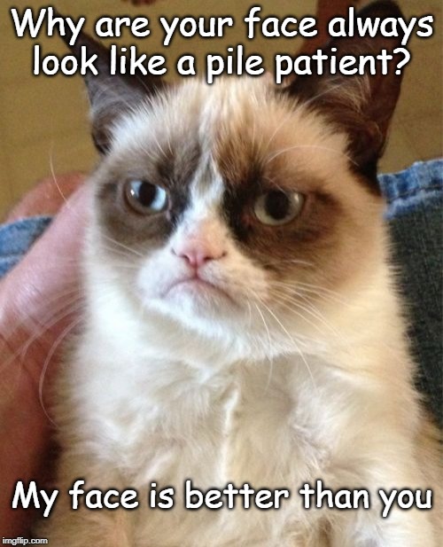 Grumpy Cat Meme | Why are your face always look like a pile patient? My face is better than you | image tagged in memes,grumpy cat | made w/ Imgflip meme maker