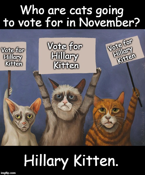 Vote for | Who are cats going to vote for in November? Vote for 
Hillary 
Kitten; Vote for 
Hillary 
Kitten; Vote for 
Hillary 
Kitten; Hillary Kitten. | image tagged in cats | made w/ Imgflip meme maker