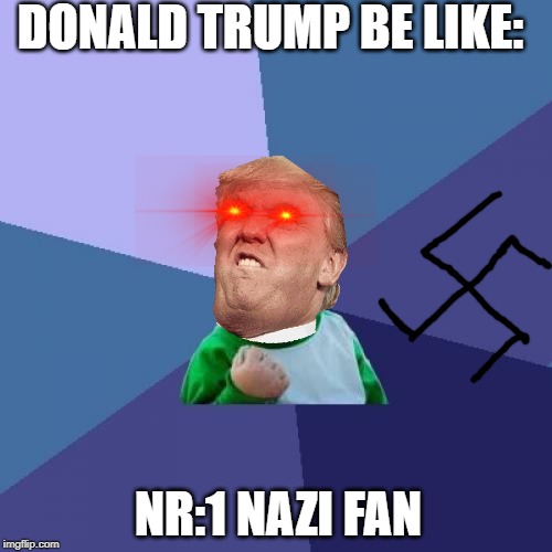 Success Kid Meme | DONALD TRUMP BE LIKE:; NR:1 NAZI FAN | image tagged in memes,success kid | made w/ Imgflip meme maker