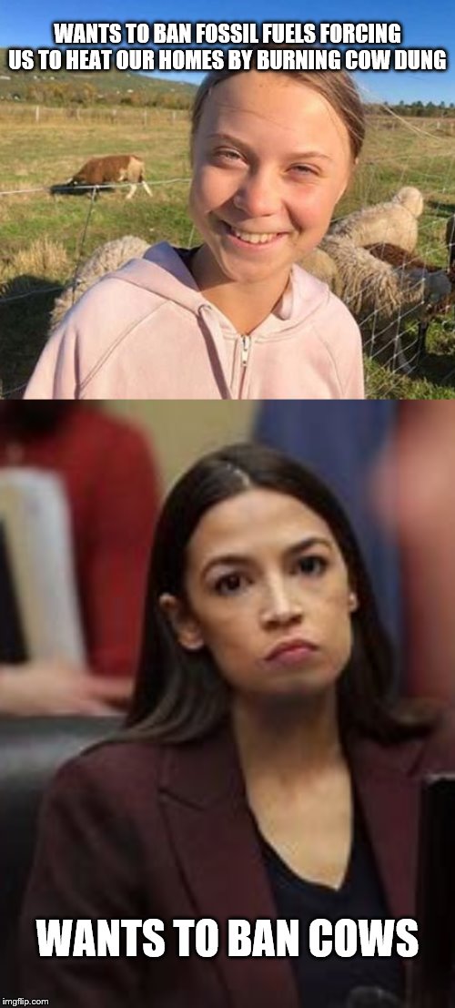 WANTS TO BAN FOSSIL FUELS FORCING US TO HEAT OUR HOMES BY BURNING COW DUNG; WANTS TO BAN COWS | image tagged in climate change,greta thunberg,aoc | made w/ Imgflip meme maker