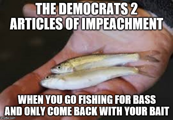 Nothing to brag about | THE DEMOCRATS 2 ARTICLES OF IMPEACHMENT; WHEN YOU GO FISHING FOR BASS AND ONLY COME BACK WITH YOUR BAIT | image tagged in memes,political meme | made w/ Imgflip meme maker