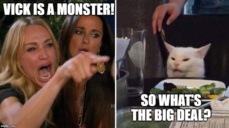 I mean, c'mon. It's a dog we're talkin' bout here. |  VICK IS A MONSTER! SO WHAT'S THE BIG DEAL? | image tagged in woman argues with cat,michael vick | made w/ Imgflip meme maker