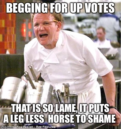 Chef Gordon Ramsay Meme |  BEGGING FOR UP VOTES; THAT IS SO LAME, IT PUTS A LEG LESS  HORSE TO SHAME | image tagged in memes,chef gordon ramsay | made w/ Imgflip meme maker