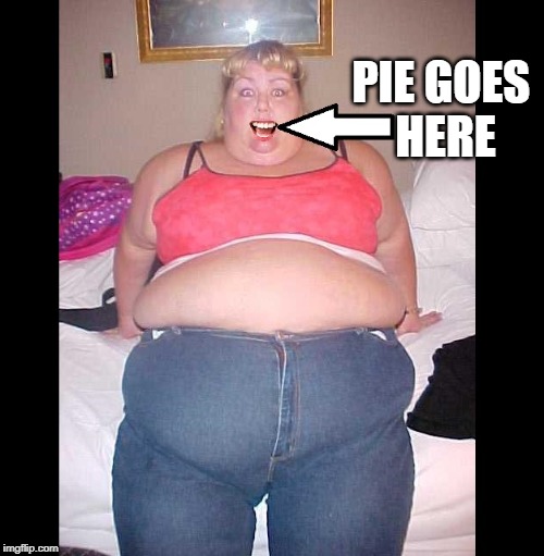 That's where all the pie went !! |  PIE GOES 
HERE | image tagged in fat chicks | made w/ Imgflip meme maker