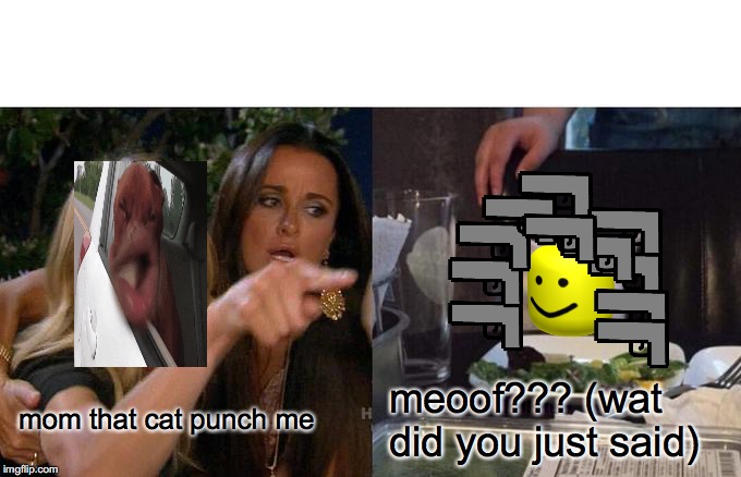 Woman Yelling At Cat | mom that cat punch me; meoof??? (wat did you just said) | image tagged in memes,woman yelling at cat | made w/ Imgflip meme maker